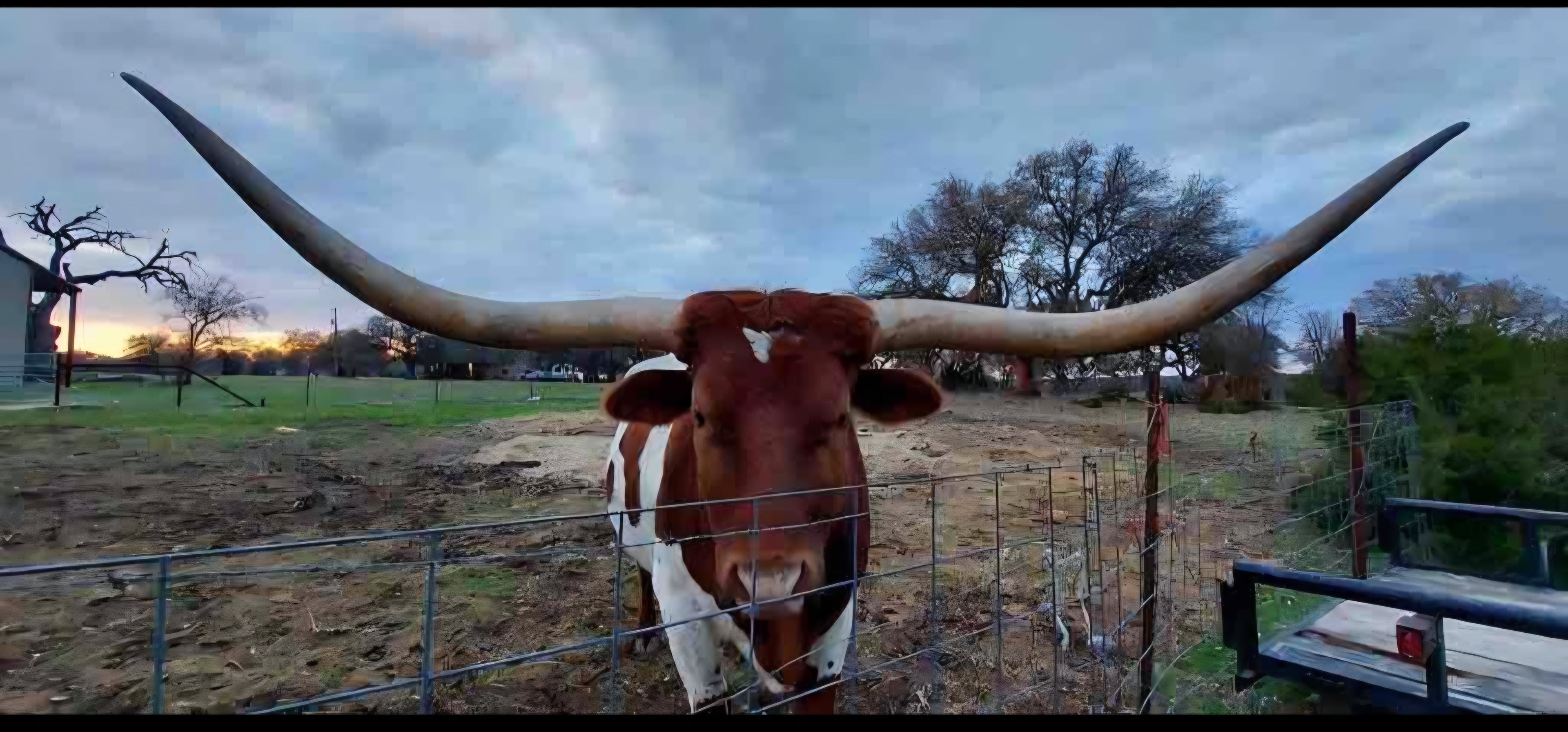 THREEFIVES 'Original' Collection